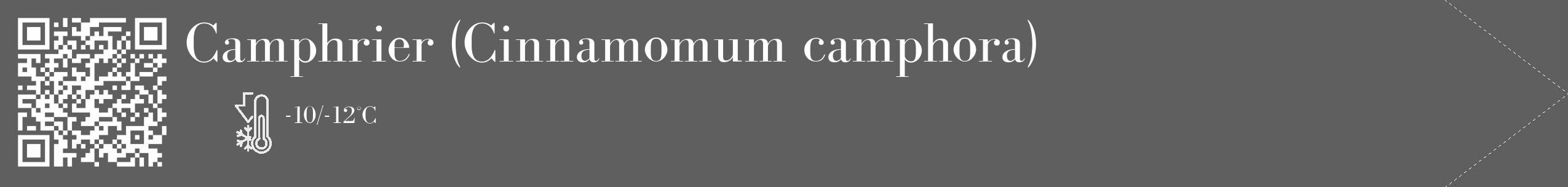 Étiquette de : Cinnamomum camphora - format c - style blanche10_simple_simplebod avec qrcode et comestibilité