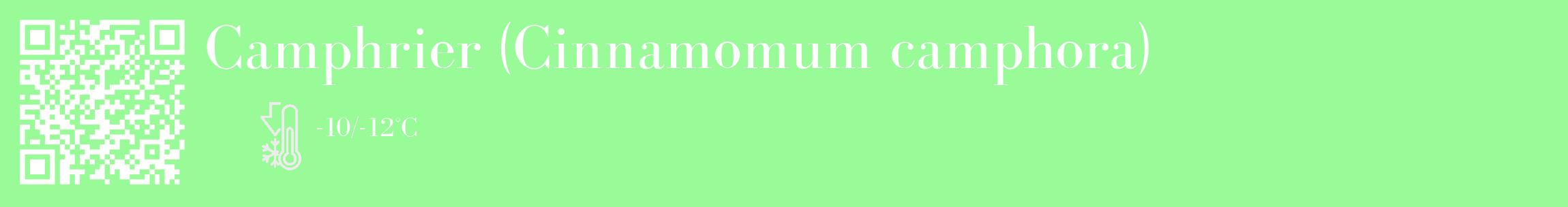 Étiquette de : Cinnamomum camphora - format c - style blanche14_basique_basiquebod avec qrcode et comestibilité