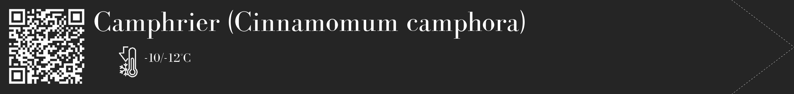 Étiquette de : Cinnamomum camphora - format c - style blanche47_simple_simplebod avec qrcode et comestibilité