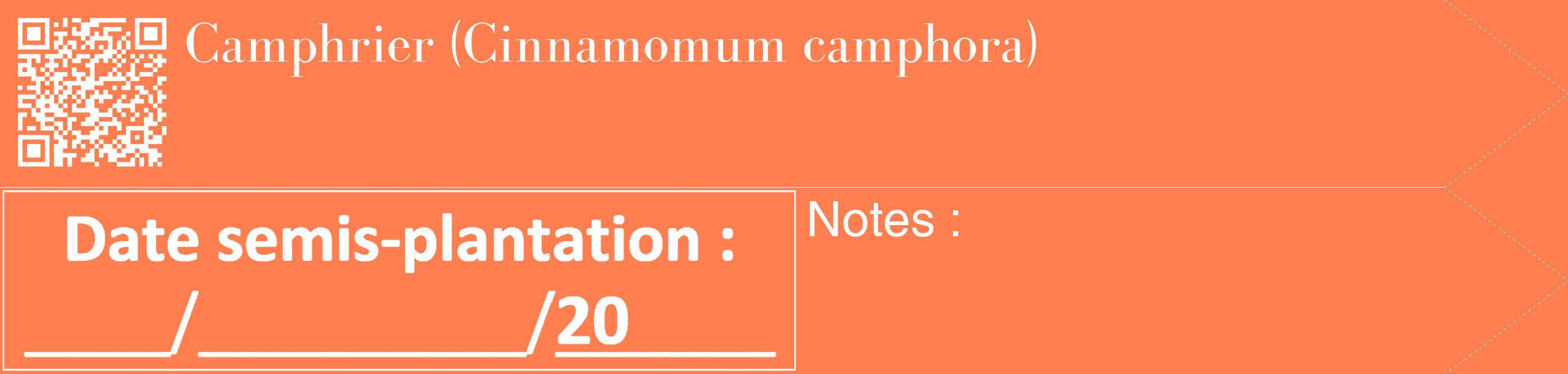 Étiquette de : Cinnamomum camphora - format c - style blanche24_simple_simplebod avec qrcode et comestibilité