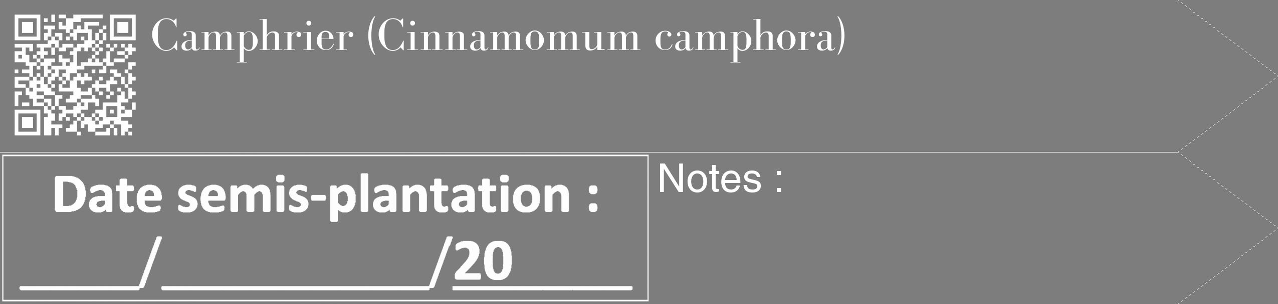 Étiquette de : Cinnamomum camphora - format c - style blanche35_simple_simplebod avec qrcode et comestibilité