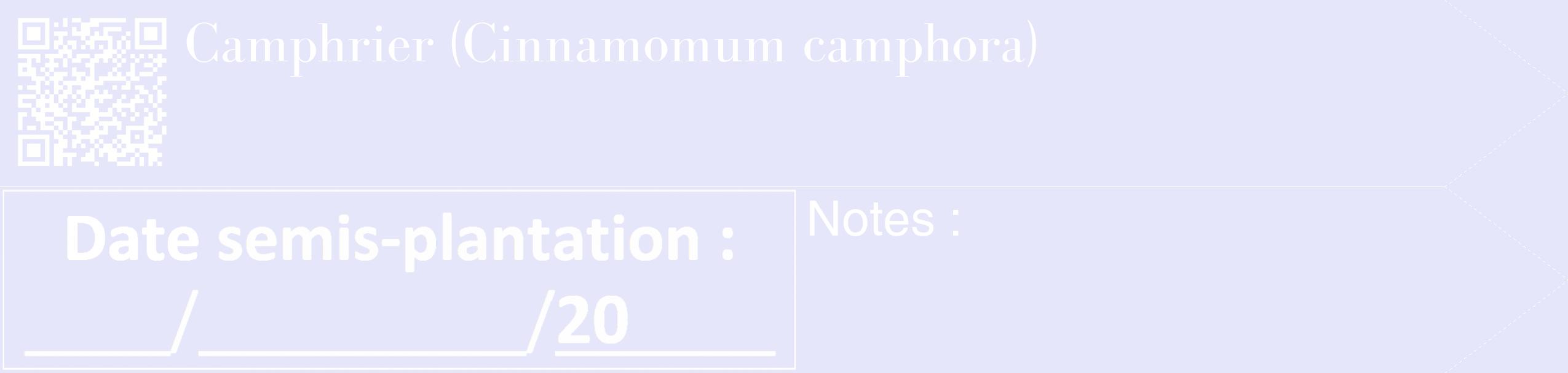 Étiquette de : Cinnamomum camphora - format c - style blanche55_simple_simplebod avec qrcode et comestibilité