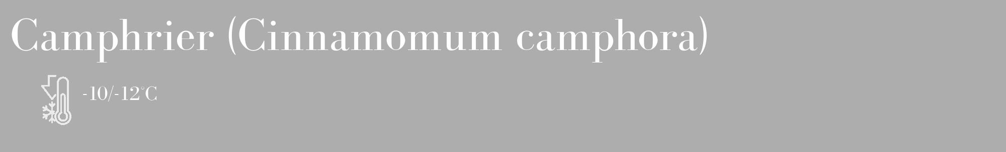 Étiquette de : Cinnamomum camphora - format c - style blanche22_basique_basiquebod avec comestibilité