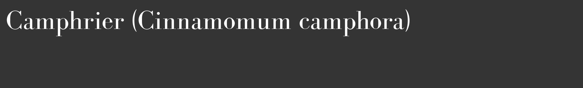 Étiquette de : Cinnamomum camphora - format c - style blanche46_basique_basiquebod avec comestibilité