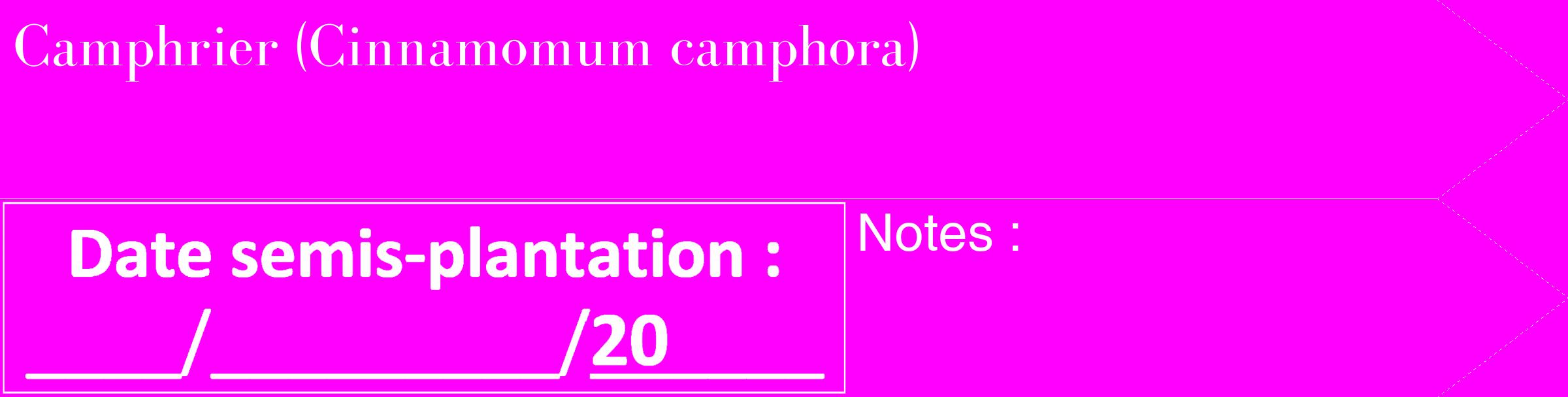 Étiquette de : Cinnamomum camphora - format c - style blanche51_simple_simplebod avec comestibilité