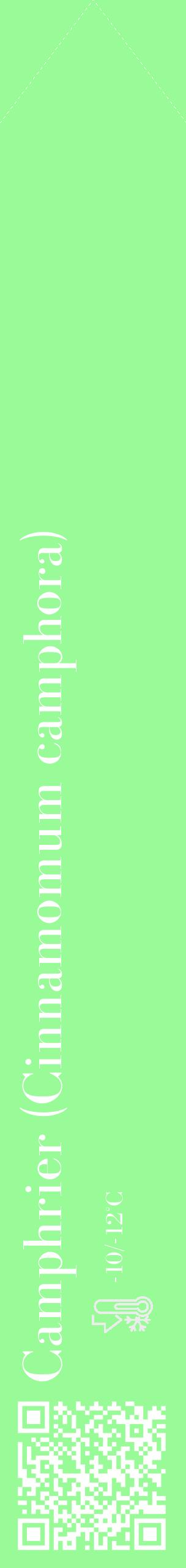Étiquette de : Cinnamomum camphora - format c - style blanche14_simple_simplebod avec qrcode et comestibilité - position verticale