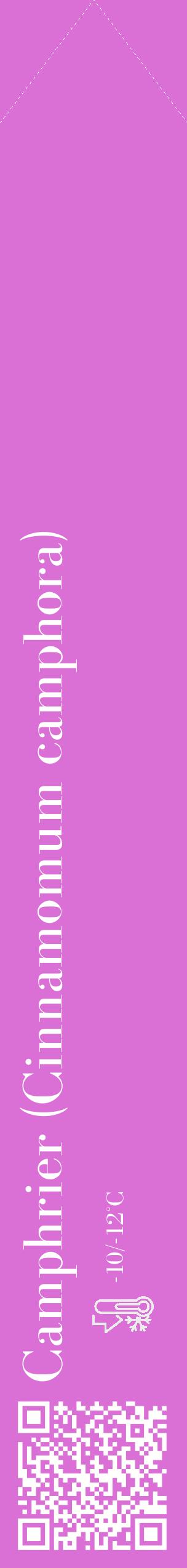 Étiquette de : Cinnamomum camphora - format c - style blanche52_simple_simplebod avec qrcode et comestibilité - position verticale