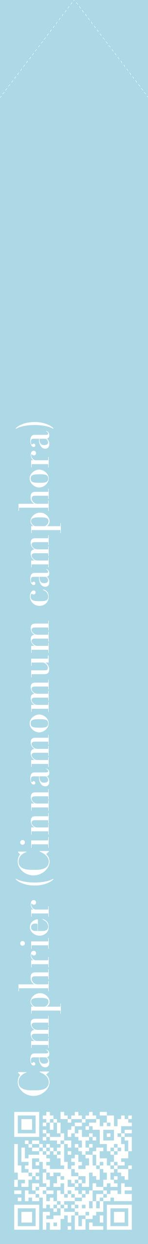 Étiquette de : Cinnamomum camphora - format c - style blanche0_simplebod avec qrcode et comestibilité