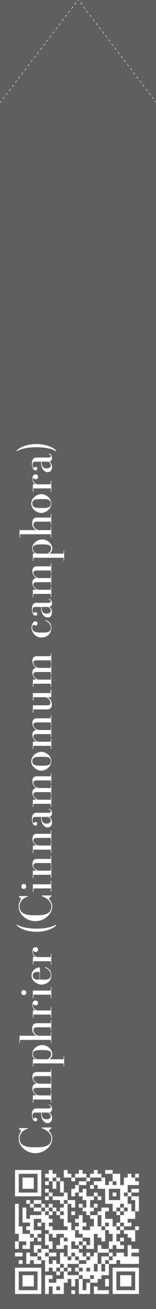 Étiquette de : Cinnamomum camphora - format c - style blanche10_simple_simplebod avec qrcode et comestibilité - position verticale