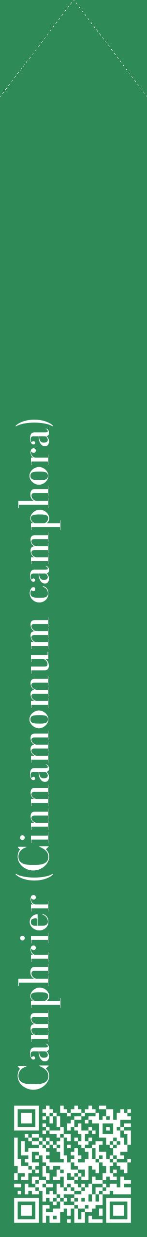 Étiquette de : Cinnamomum camphora - format c - style blanche11_simplebod avec qrcode et comestibilité