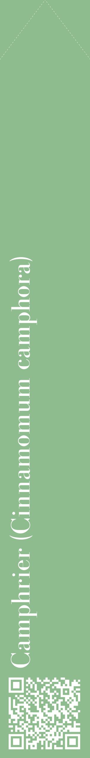 Étiquette de : Cinnamomum camphora - format c - style blanche13_simplebod avec qrcode et comestibilité