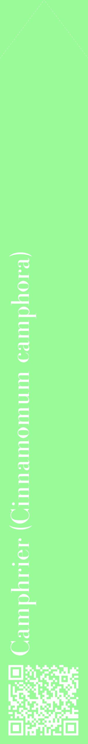Étiquette de : Cinnamomum camphora - format c - style blanche14_simplebod avec qrcode et comestibilité