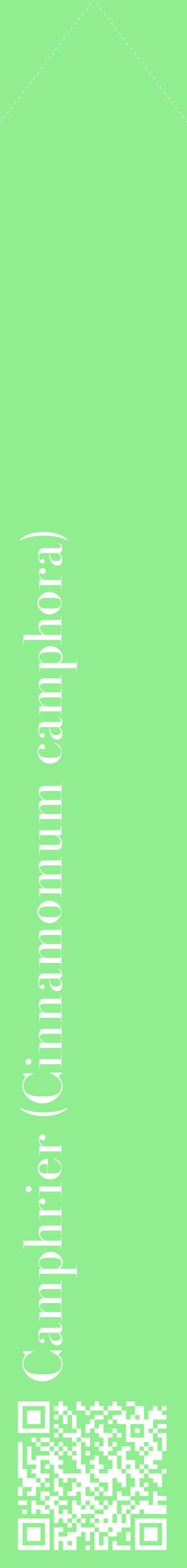 Étiquette de : Cinnamomum camphora - format c - style blanche15_simplebod avec qrcode et comestibilité