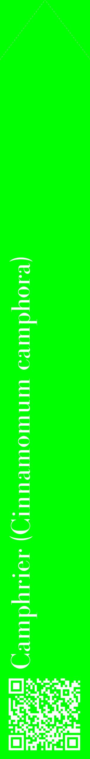 Étiquette de : Cinnamomum camphora - format c - style blanche16_simplebod avec qrcode et comestibilité
