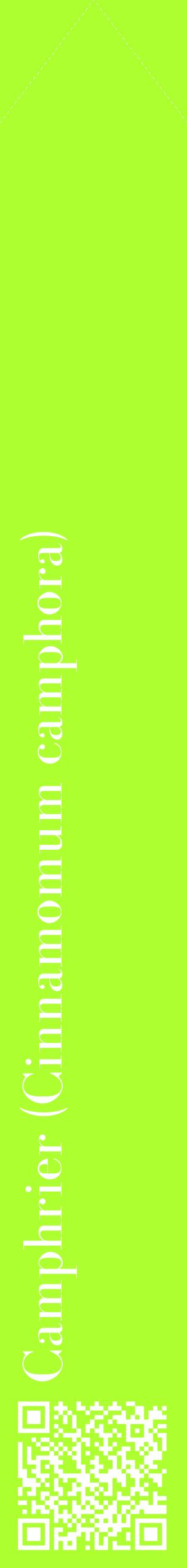 Étiquette de : Cinnamomum camphora - format c - style blanche17_simplebod avec qrcode et comestibilité