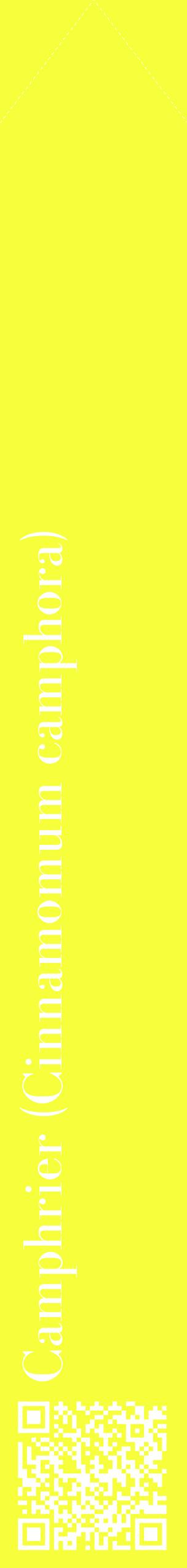 Étiquette de : Cinnamomum camphora - format c - style blanche18_simplebod avec qrcode et comestibilité