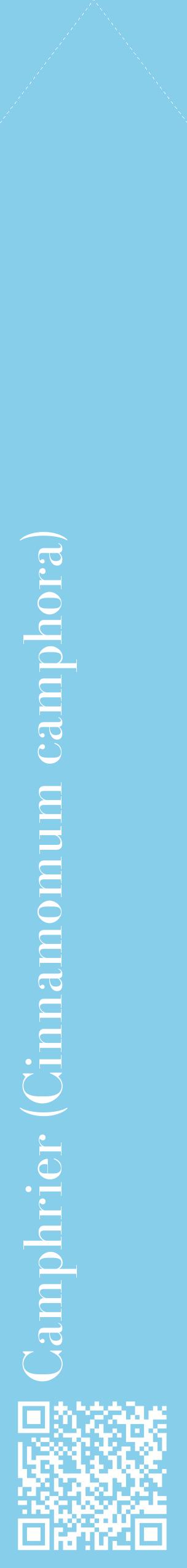 Étiquette de : Cinnamomum camphora - format c - style blanche1_simplebod avec qrcode et comestibilité
