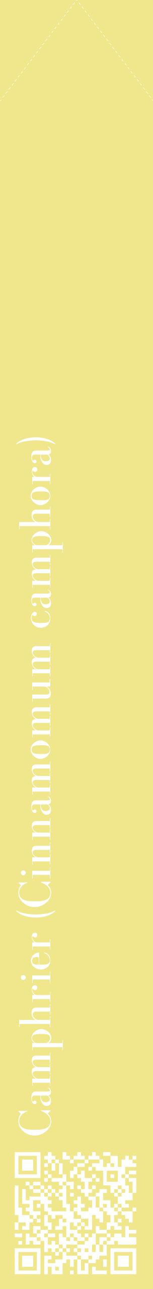 Étiquette de : Cinnamomum camphora - format c - style blanche20_simplebod avec qrcode et comestibilité