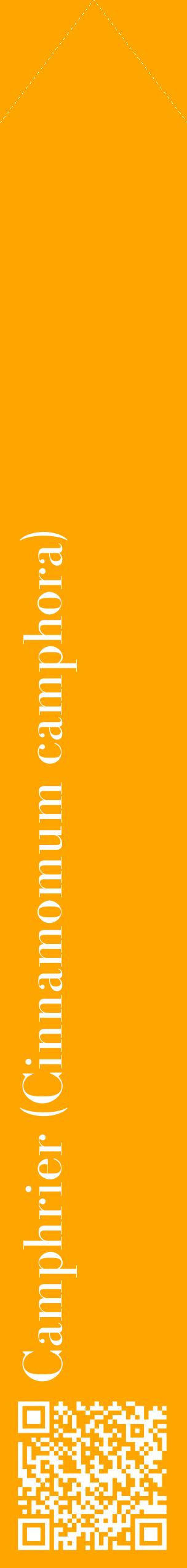 Étiquette de : Cinnamomum camphora - format c - style blanche22_simplebod avec qrcode et comestibilité