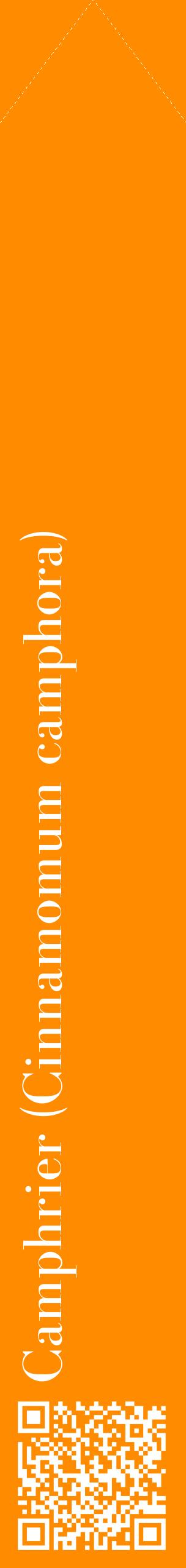 Étiquette de : Cinnamomum camphora - format c - style blanche23_simplebod avec qrcode et comestibilité