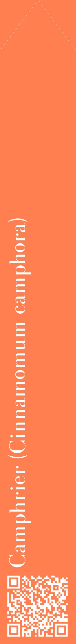 Étiquette de : Cinnamomum camphora - format c - style blanche24_simplebod avec qrcode et comestibilité