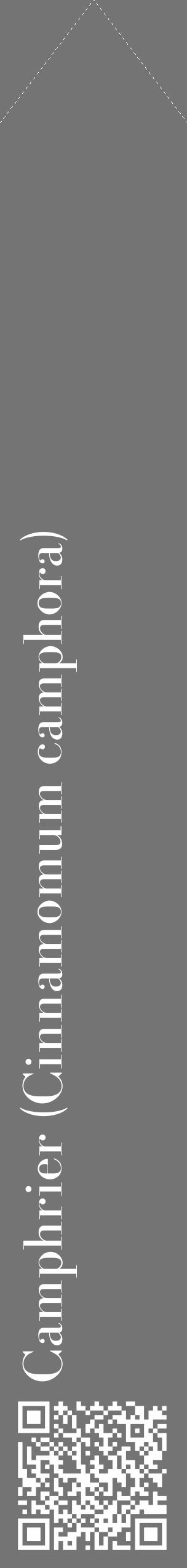 Étiquette de : Cinnamomum camphora - format c - style blanche26_simple_simplebod avec qrcode et comestibilité - position verticale