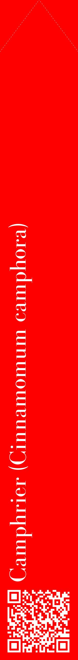 Étiquette de : Cinnamomum camphora - format c - style blanche27_simplebod avec qrcode et comestibilité