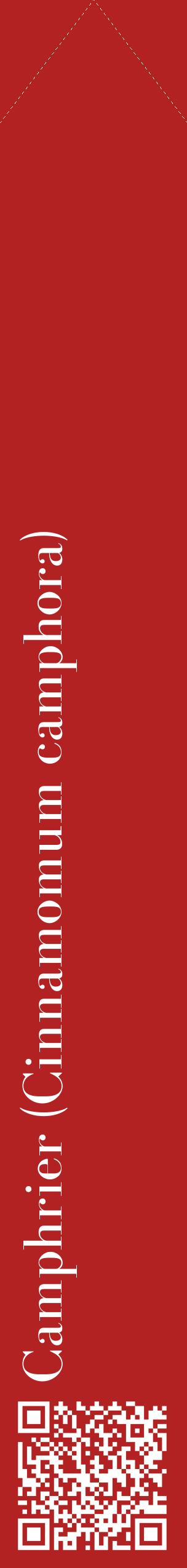 Étiquette de : Cinnamomum camphora - format c - style blanche28_simplebod avec qrcode et comestibilité