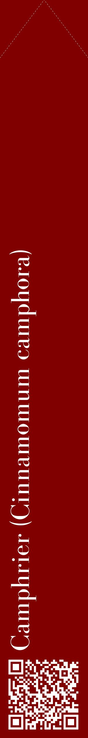 Étiquette de : Cinnamomum camphora - format c - style blanche29_simplebod avec qrcode et comestibilité