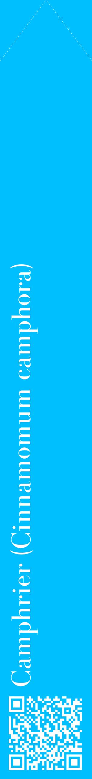 Étiquette de : Cinnamomum camphora - format c - style blanche2_simplebod avec qrcode et comestibilité