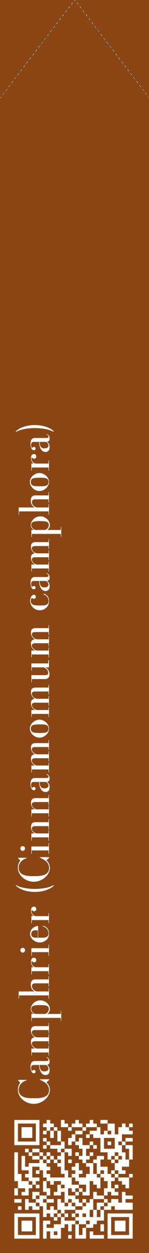 Étiquette de : Cinnamomum camphora - format c - style blanche30_simplebod avec qrcode et comestibilité