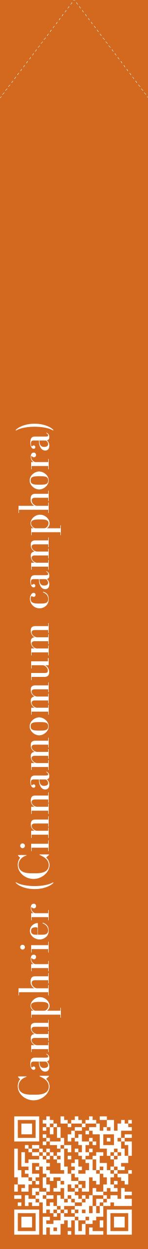Étiquette de : Cinnamomum camphora - format c - style blanche31_simplebod avec qrcode et comestibilité