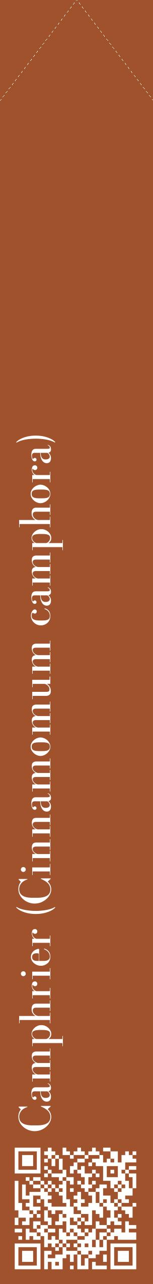 Étiquette de : Cinnamomum camphora - format c - style blanche32_simplebod avec qrcode et comestibilité