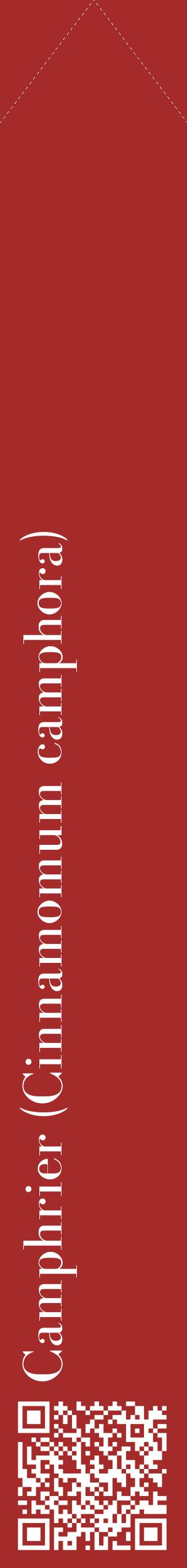 Étiquette de : Cinnamomum camphora - format c - style blanche33_simplebod avec qrcode et comestibilité