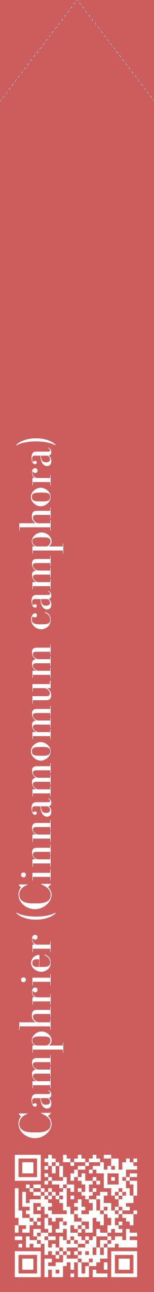Étiquette de : Cinnamomum camphora - format c - style blanche35_simplebod avec qrcode et comestibilité