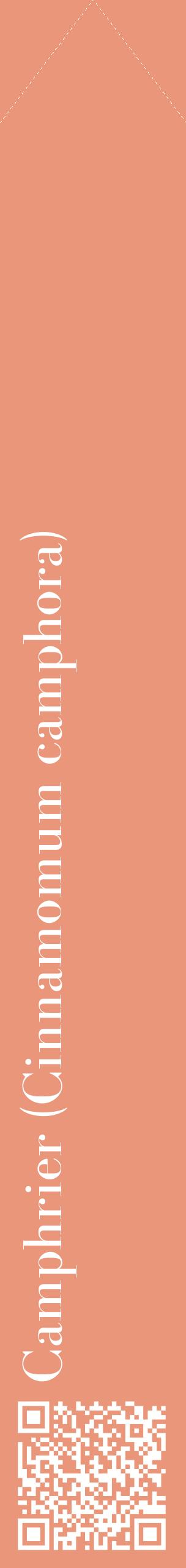 Étiquette de : Cinnamomum camphora - format c - style blanche37_simplebod avec qrcode et comestibilité