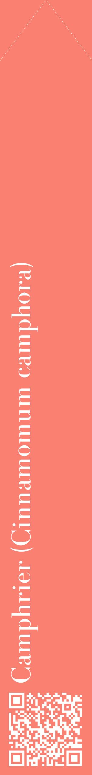 Étiquette de : Cinnamomum camphora - format c - style blanche38_simplebod avec qrcode et comestibilité