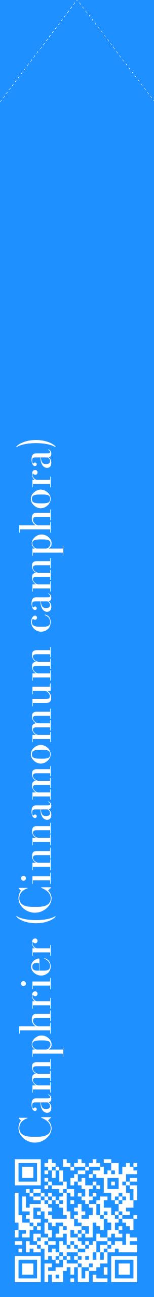 Étiquette de : Cinnamomum camphora - format c - style blanche3_simplebod avec qrcode et comestibilité
