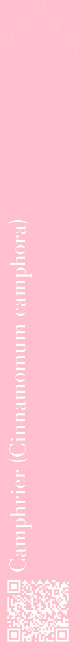 Étiquette de : Cinnamomum camphora - format c - style blanche40_simplebod avec qrcode et comestibilité