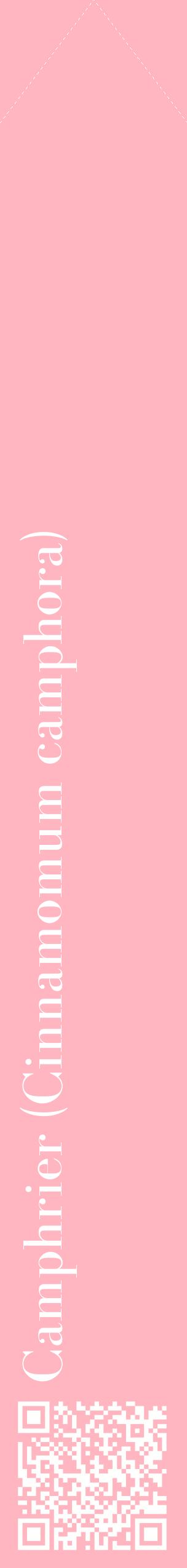 Étiquette de : Cinnamomum camphora - format c - style blanche41_simplebod avec qrcode et comestibilité