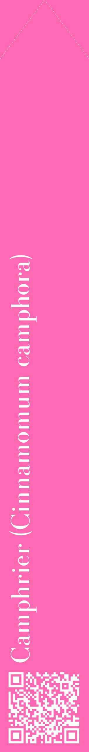 Étiquette de : Cinnamomum camphora - format c - style blanche42_simplebod avec qrcode et comestibilité