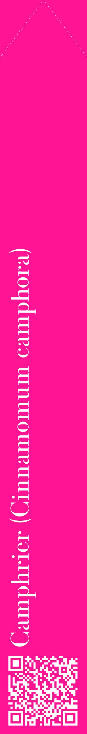 Étiquette de : Cinnamomum camphora - format c - style blanche43_simplebod avec qrcode et comestibilité
