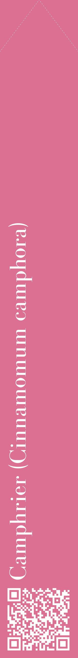 Étiquette de : Cinnamomum camphora - format c - style blanche44_simplebod avec qrcode et comestibilité