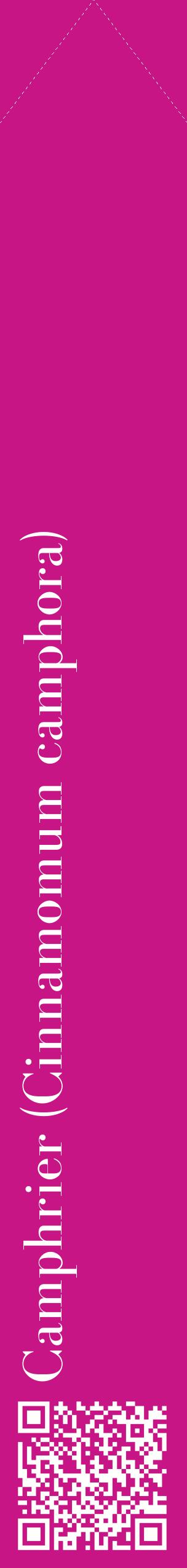 Étiquette de : Cinnamomum camphora - format c - style blanche45_simplebod avec qrcode et comestibilité