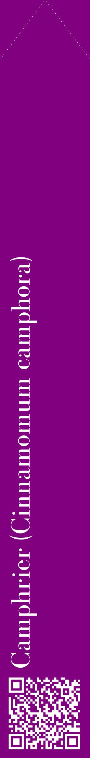 Étiquette de : Cinnamomum camphora - format c - style blanche46_simplebod avec qrcode et comestibilité