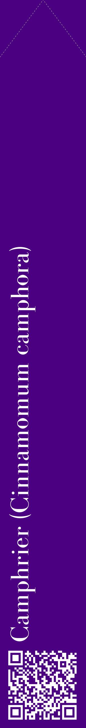 Étiquette de : Cinnamomum camphora - format c - style blanche47_simplebod avec qrcode et comestibilité