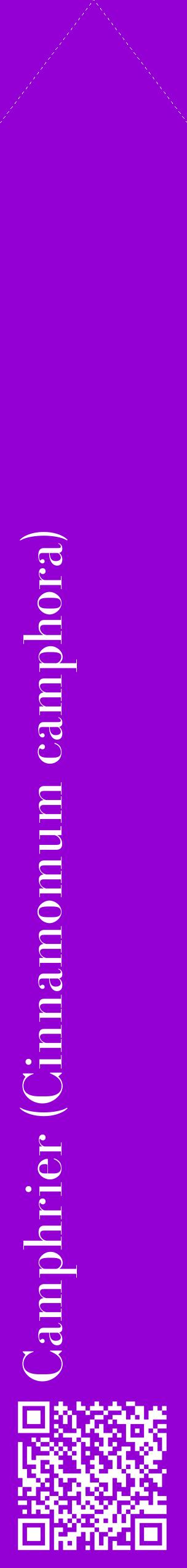 Étiquette de : Cinnamomum camphora - format c - style blanche48_simplebod avec qrcode et comestibilité