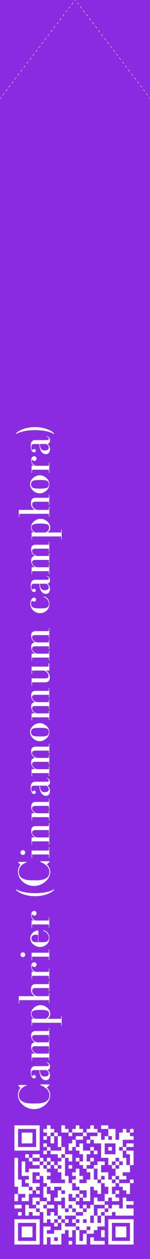 Étiquette de : Cinnamomum camphora - format c - style blanche49_simplebod avec qrcode et comestibilité