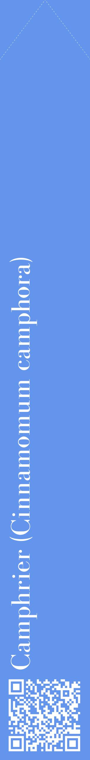 Étiquette de : Cinnamomum camphora - format c - style blanche4_simplebod avec qrcode et comestibilité