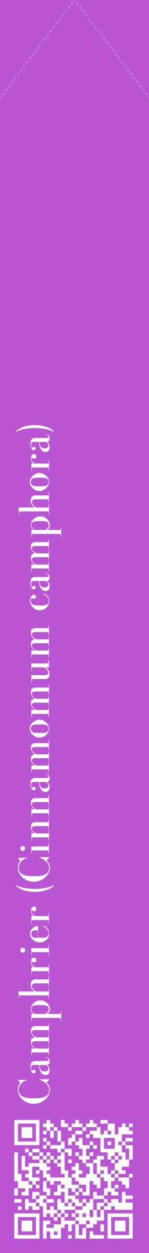 Étiquette de : Cinnamomum camphora - format c - style blanche50_simplebod avec qrcode et comestibilité
